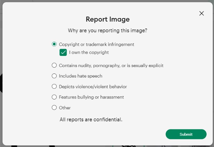 Design Space Report Form